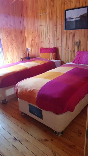 two beds in a room with wooden walls at Hostal La Maravilla in Vilches