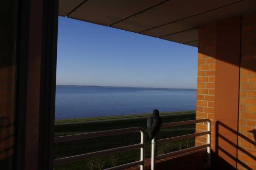 a bird standing on a balcony looking out at the water at 146 Suedstrand Meerblick in Wilhelmshaven