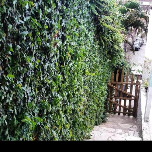 a large green hedge with a wooden fence at SunriseBelaVista Pousada e Flats in Paraty