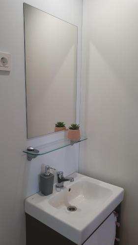 Mobile Home Erna, Rovinj