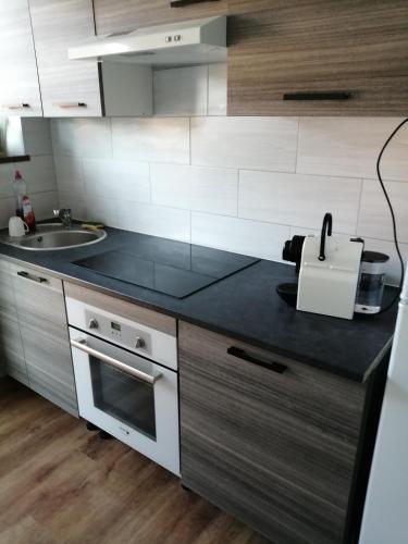 eine Küche mit einer Spüle und einer Arbeitsplatte in der Unterkunft Appartement cosy arrêt de tram Saint-Louis Grenze in Saint-Louis