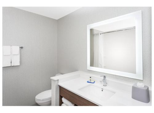 a bathroom with a sink and a mirror and a toilet at Holiday Inn Express & Suites - Hudson I-94 by IHG in Hudson