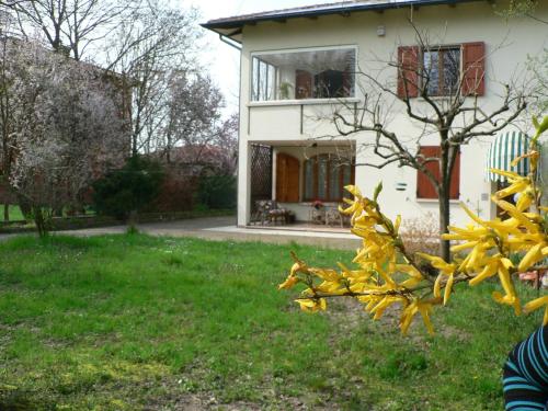 a house with a bunch of yellow flowers in the yard at La Quercia e il Gelso in Baricella