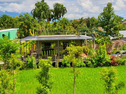 Taman di luar Vieng pua homestays
