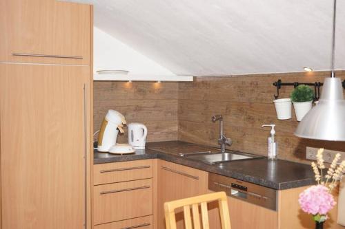 a kitchen with a sink and a counter top at Haus Bregenz Apartment Festspiele in Lochau