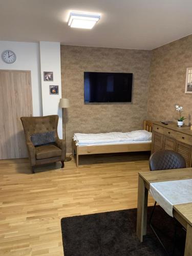 a room with a bed and a tv and a chair at Apartmany Arber in Železná Ruda