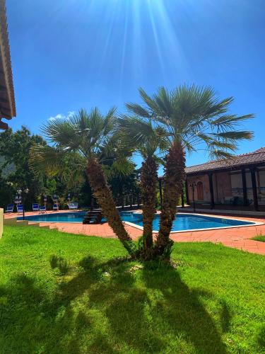 two palm trees in the grass near a swimming pool at Hotel La Ciaccia in Valledoria