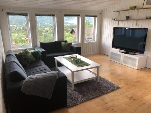 a living room with a couch and a table and a tv at Ramsbu Hovden Fjellpark sen utsjekk in Hovden