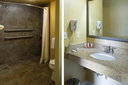 Bathroom sa Woodridge Inn and Suites