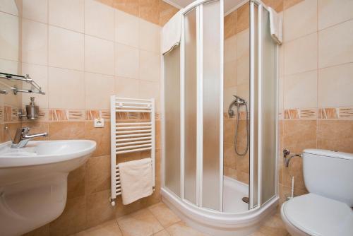 a bathroom with a shower and a toilet and a sink at Koliba u Kuba a rekreačné domy in Hruštín