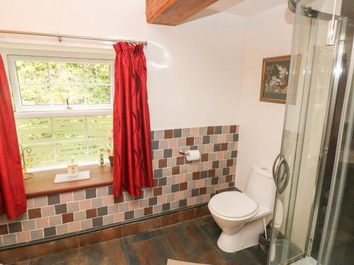 a bathroom with a toilet and a window at The Old Mill in Milford Haven