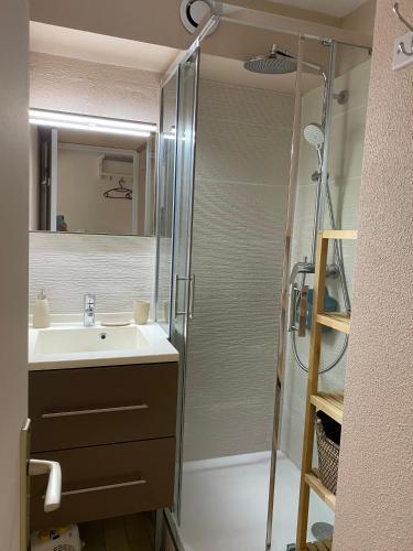 une salle de bain avec un lavabo et une douche dans l'établissement Bel Appartement accès direct mer; L'Almanarre, HYERES, à Hyères