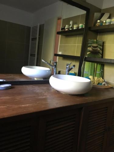 two sinks on a counter in a bathroom at Nico Zen Home in Vendargues
