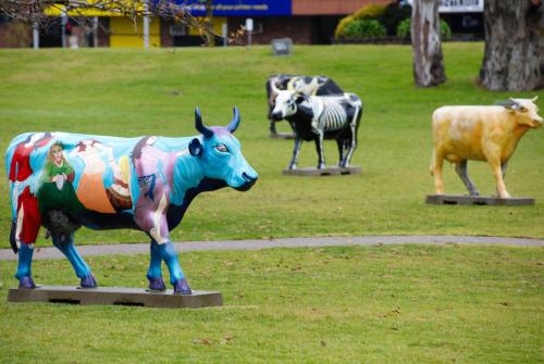 Animales en el apartahotel o alrededores