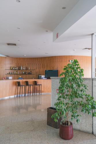 a potted tree in a lobby with chairs and a counter at Aparthotel Vouga in Termas de Sao Pedro do Sul