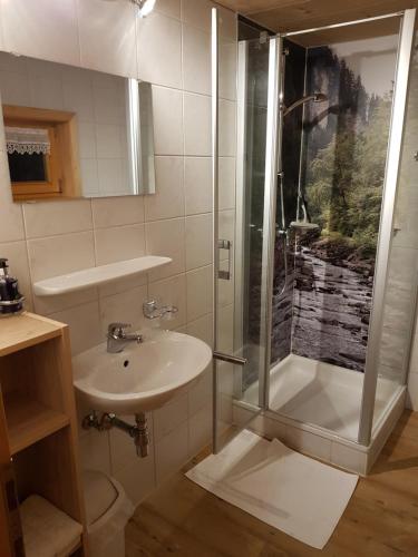 ein Bad mit einer Dusche und einem Waschbecken in der Unterkunft Ferienwohnungen Moosbrugger in Au im Bregenzerwald