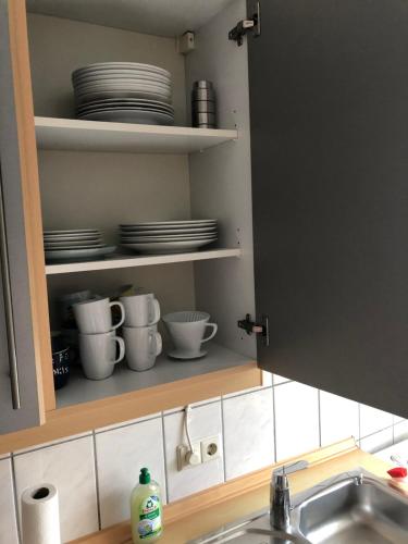 una encimera con fregadero y platos en un estante en Hanover City Lodge, en Hannover