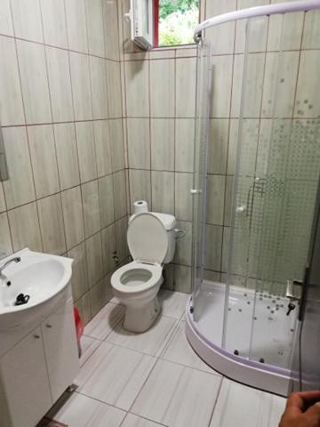 a bathroom with a toilet and a shower and a sink at Red House in Orşova