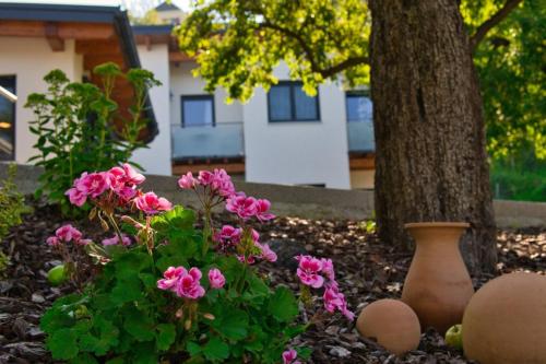 a bunch of pink flowers in front of a tree at Pension Puster in Gobernitz
