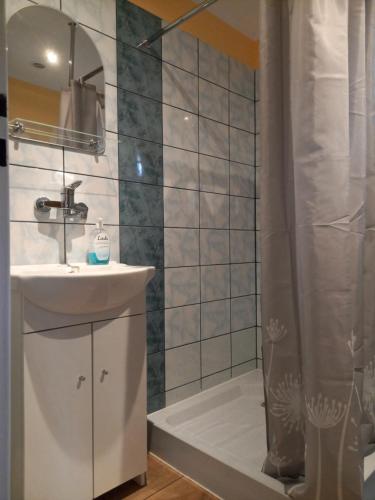 a bathroom with a sink and a shower at Agroturystyka pod świerkami in Ryn