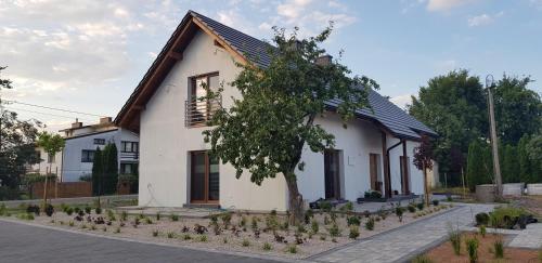 a white house with a tree in front of it at Osada Ostrowsko in Uniejow