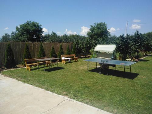 a ping pong table and benches in a yard at Vila Viktori in Pirot