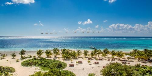 a flock of birds flying over a beach with palm trees at Chablé Maroma in Playa del Carmen