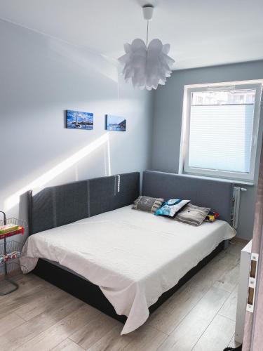 a bedroom with a bed in a room with a window at Słoneczne Tarasy by Marta in Dziwnówek