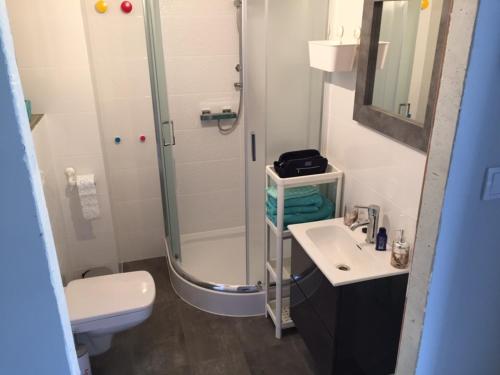 a bathroom with a shower and a sink and a toilet at Słoneczne Tarasy by Marta in Dziwnówek