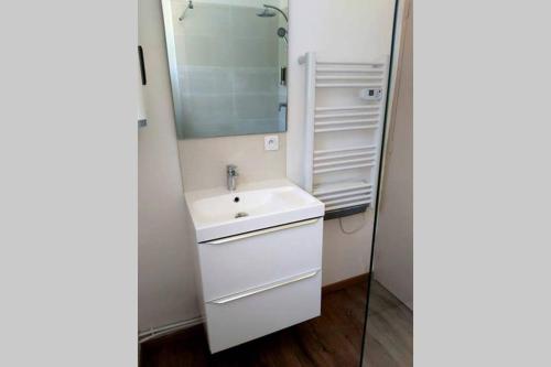 une salle de bain avec un lavabo et un miroir dans l'établissement ROSIER APPARTEMENT, à Manosque