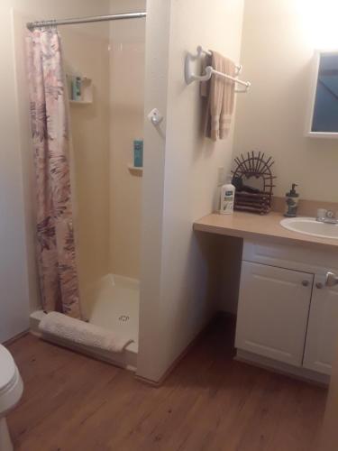 a bathroom with a shower with a toilet and a sink at Alaska's Northland Inn in Trapper Creek
