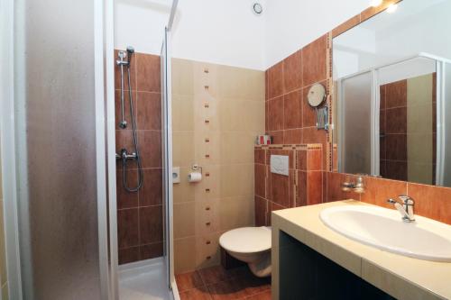 een badkamer met een douche, een wastafel en een toilet bij PENZION HŮRKA in Dolní Libchavy