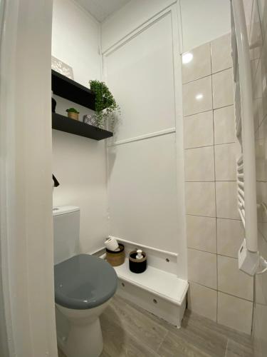 uma casa de banho branca com um WC e um chuveiro em joli appartement quartier historique, 5 pers em Moulins