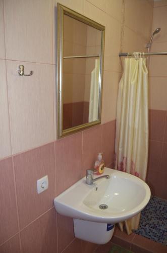 uma casa de banho com um lavatório, um espelho e um chuveiro em Бізнес Центр & Готель в Центрі Міста em Umanʼ