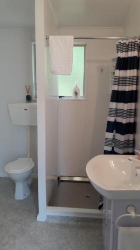 AwatunaにあるMont's Cottageのバスルーム(トイレ、洗面台付)、窓が備わります。