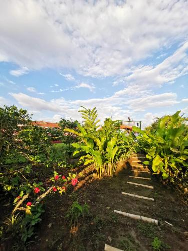 Ein Garten an der Unterkunft Hotel Arrayanes del Quindío