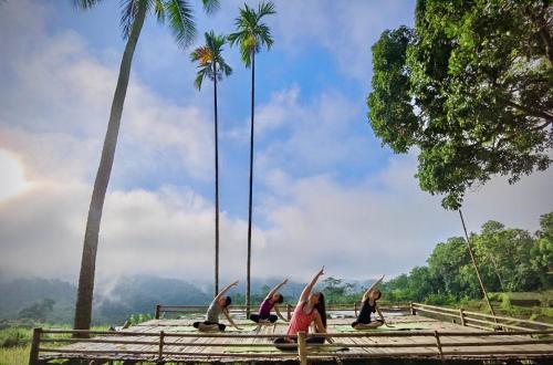 a group of people on a platform with palm trees at Lua Pu Luong in Pu Luong