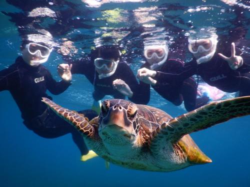 a group of people swimming next to a turtle in the water at Ecot Shimozato 3 in Miyako Island