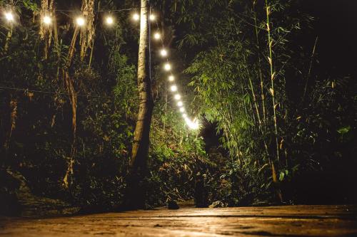 a street light with lights in a forest at night at Desa Eko in Munduk