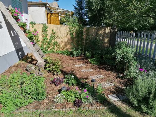 Menta Apartman 3400 Mezőkövesd, Vasvirág utca 16. kép - 3