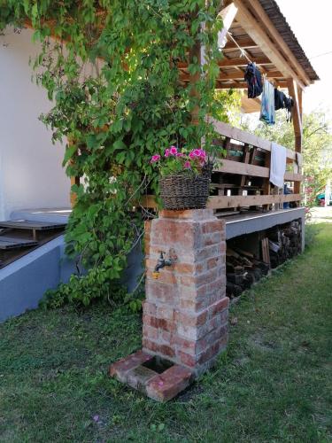 Zahrada ubytování Menta Apartman