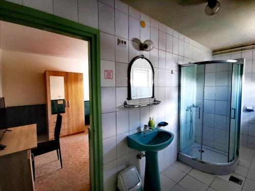 Un baño con lavabo y ducha de cristal. en KOMPLEX -Rendezvénytermek-Panzió-Apartman-Irodák-, en Mátészalka