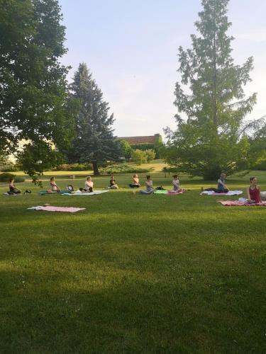a group of people sitting on the grass in a park at Seepark Hotel am Wandlitzsee in Wandlitz