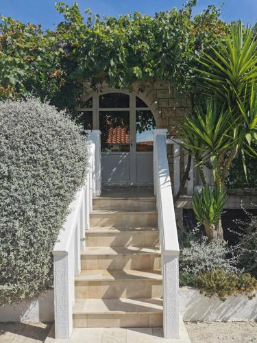 a staircase leading up to a house with bushes at Holiday Resort Balota in Viganj