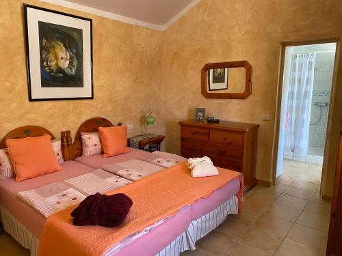 a bedroom with two beds and a mirror at Casa Verde in Guía de Isora