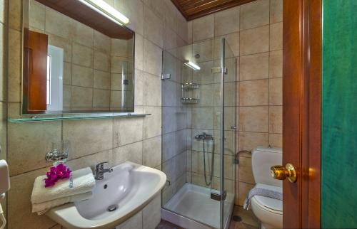 ein Bad mit einem Waschbecken, einer Dusche und einem WC in der Unterkunft Hotel Castle Suites in Platanias