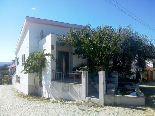 a small white house with a tree in front of it at Casa da Oliveira in Milhão