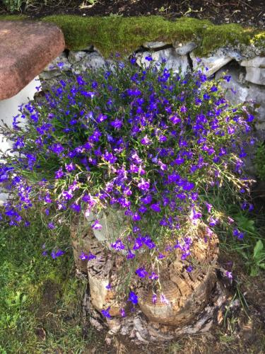 a bouquet of purple flowers in a basket at Villetta "Il Grillo" in Valdidentro