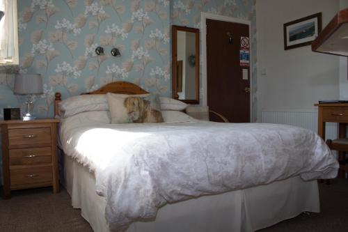 a dog laying on a bed in a bedroom at Whitecroft B&B in Edinburgh