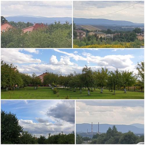 vier verschillende uitzichten op een park met bomen en gebouwen bij Wynajem Pokoi dla Firm in Libiąż